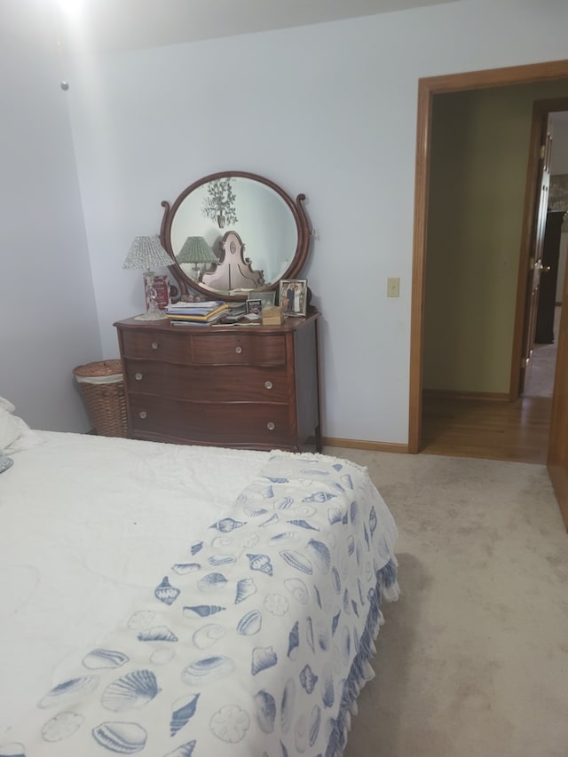 810 Kristin Ln, Wilmington, IL 60481 - photo 19