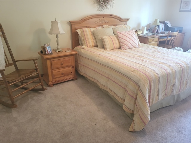810 Kristin Ln, Wilmington, IL 60481 - photo 20