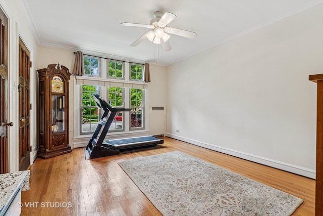 5629 N Major Ave, Chicago, IL 60646 - photo 4