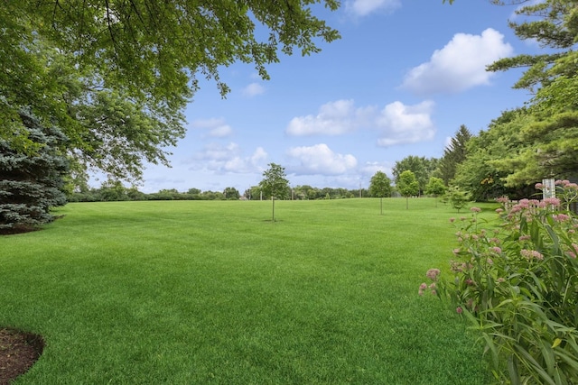1524 Virginia Ave, Libertyville, IL 60048 - photo 30
