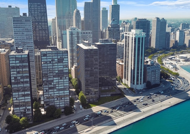 880 N Lake Shore Dr Unit 19A, Chicago, IL 60611 - photo 19