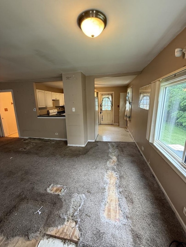 526 Grandview Dr, Round Lake Park, IL 60073 - unfurnished living room featuring plenty of natural light and light carpet