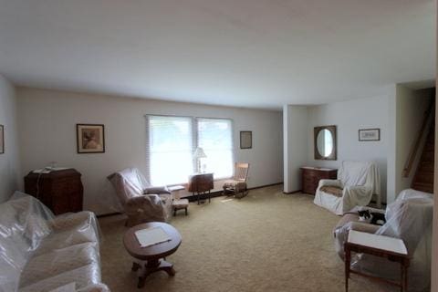 8315 Nolan St, Harvard, IL 60033 - living room with carpet floors
