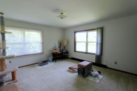 8315 Nolan St, Harvard, IL 60033 - bedroom with carpet flooring