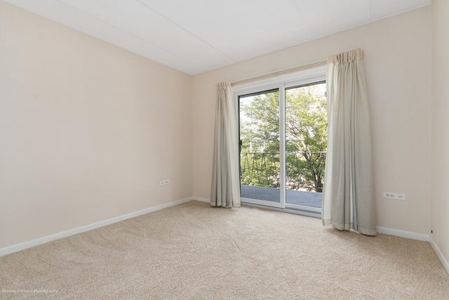 2900 Maple Ave Unit 13C, Downers Grove, IL 60515 - photo 18