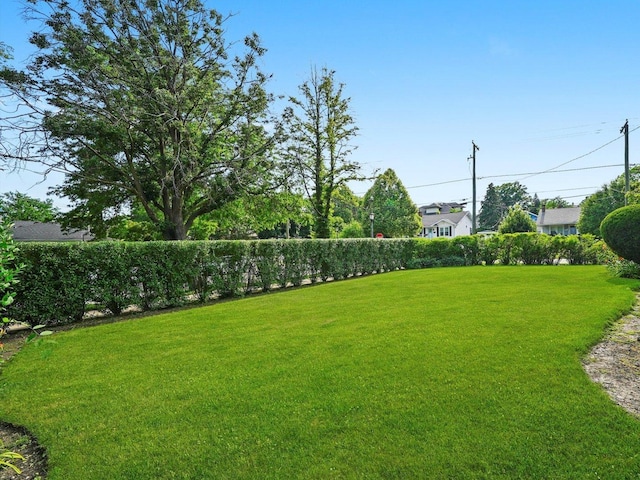 31 Bluff Ave, La Grange, IL 60525 - view of green lawn