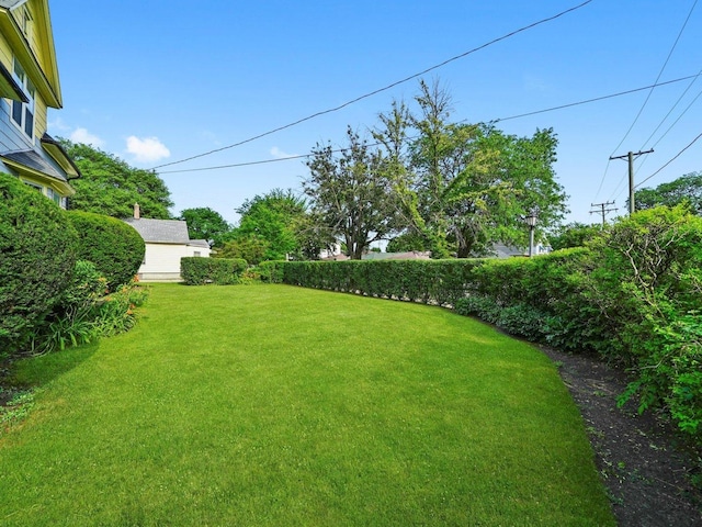 31 Bluff Ave, La Grange, IL 60525 - view of green lawn