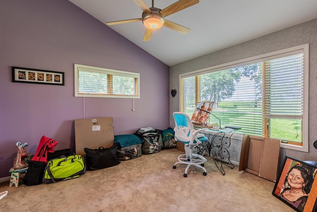 13437 1675 E St, Princeton, IL 61356 - photo 19