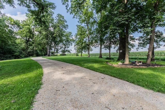 13437 1675 E St, Princeton, IL 61356 - photo 34