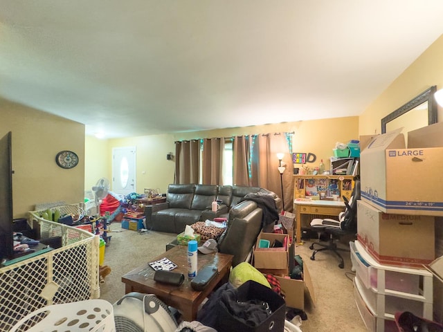509 S Plum Grove Rd, Palatine, IL 60067 - photo 16