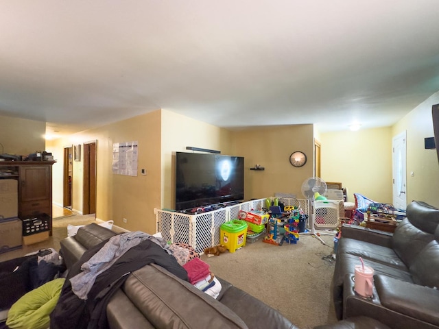 509 S Plum Grove Rd, Palatine, IL 60067 - photo 17