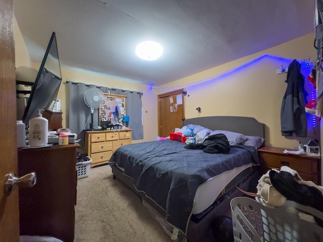 509 S Plum Grove Rd, Palatine, IL 60067 - photo 20