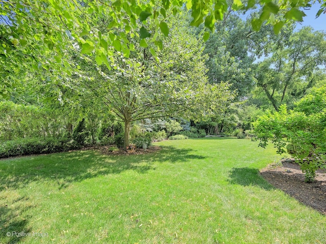 1401 Sussex Rd, Naperville, IL 60540 - photo 38