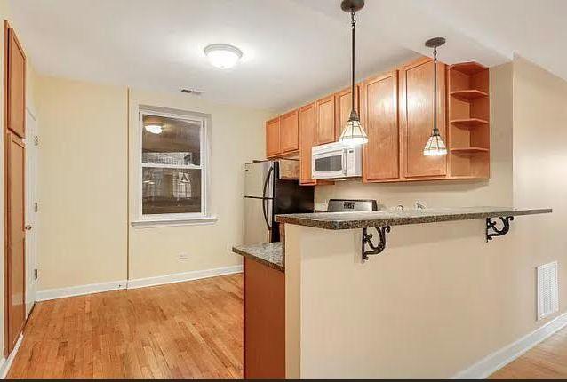 2338 W Granville Ave Unit 2, Chicago, IL 60659 - photo 8