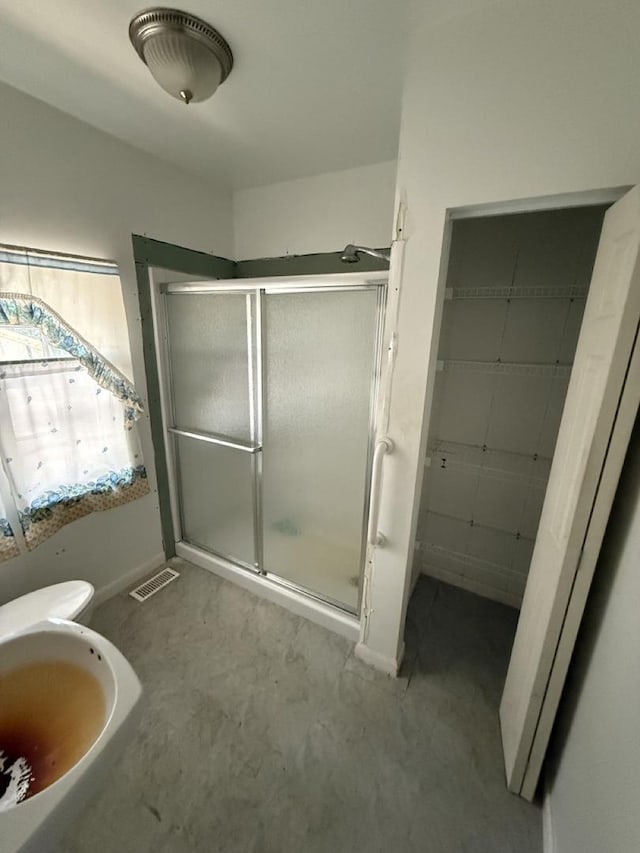 24576 W Norelius Ave, Round Lake, IL 60073 - bathroom featuring a shower stall and a sink