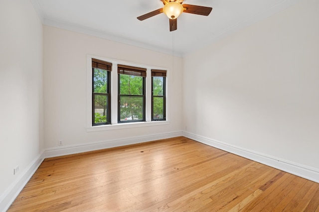 900 W Dakin St Unit 1, Chicago, IL 60613 - photo 16