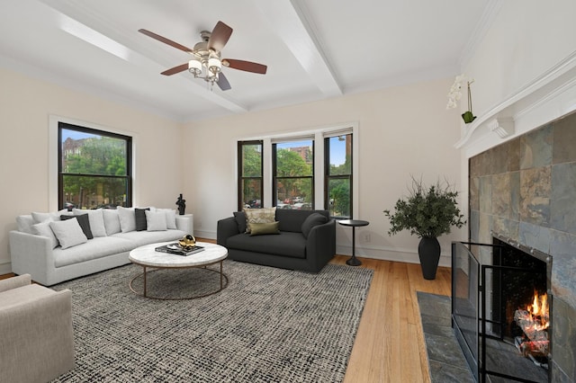 900 W Dakin St Unit 1, Chicago, IL 60613 - photo 5