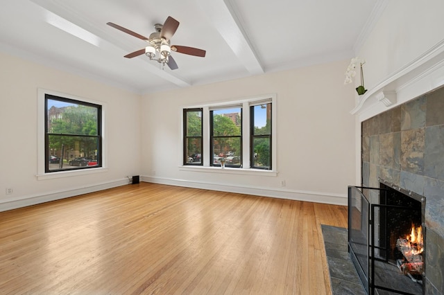 900 W Dakin St Unit 1, Chicago, IL 60613 - photo 6