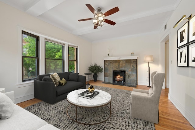 900 W Dakin St Unit 1, Chicago, IL 60613 - photo 7