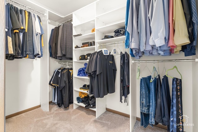 951 Viewpoint Dr, Lake In The Hills, IL 60156 - walk in closet with carpet flooring