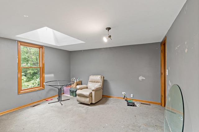 3457 W Hamilton Rd, Monee, IL 60449 - unfurnished room with a skylight and carpet