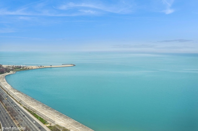 1100 N Lake Shore Dr Unit 33A, Chicago, IL 60611 - photo 4