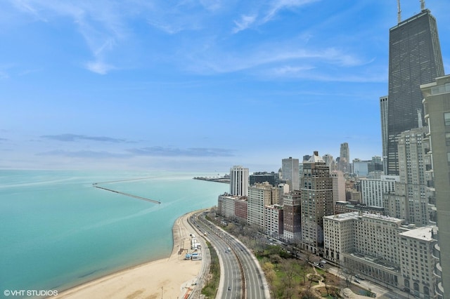 1100 N Lake Shore Dr Unit 33A, Chicago, IL 60611 - photo 5