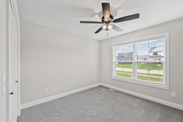 705 Cole Ln, Mahomet, IL 61853 - photo 22