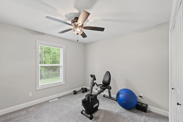 705 Cole Ln, Mahomet, IL 61853 - photo 26