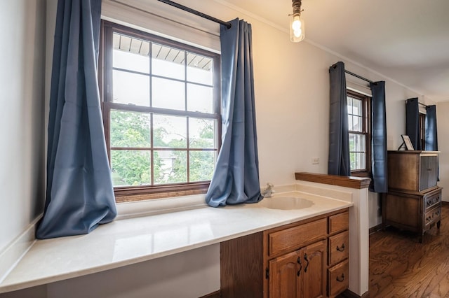 872 Asbury Ln, Schaumburg, IL 60193 - bathroom with plenty of natural light, wood finished floors, crown molding, and vanity