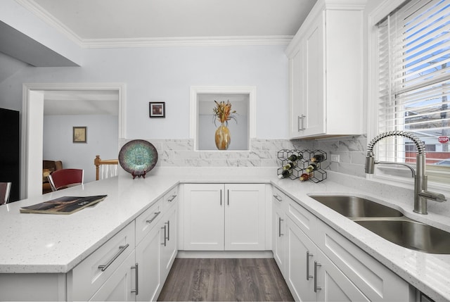 3039 S Kolin Ave, Chicago, IL 60623 - kitchen featuring ornamental molding, white cabinets, backsplash, light stone counters, and dark wood-type flooring