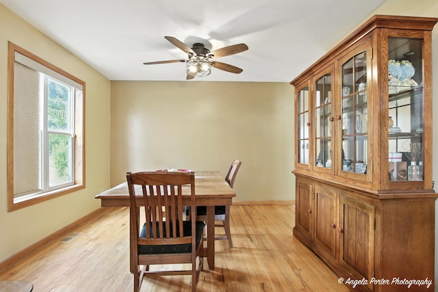 35954 N Hunt Ave, Ingleside, IL 60041 - photo 8