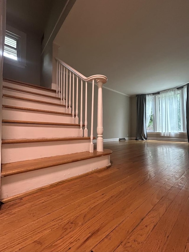 1636 N 75th Ave, Elmwood Park, IL 60707 - photo 7