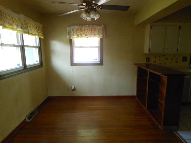 15409 S Union Pl, Plainfield, IL 60544 - unfurnished dining area featuring wood finished floors, a ceiling fan, and plenty of natural light