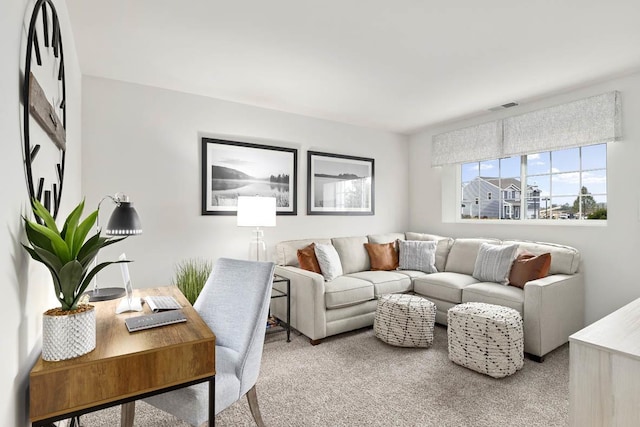 6550 Linden Trl Unit E, Wonder Lake, IL 60097 - living area featuring light carpet and an office area