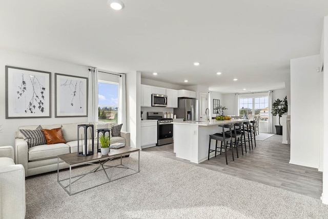 6550 Linden Trl Unit E, Wonder Lake, IL 60097 - living area with recessed lighting and light wood finished floors