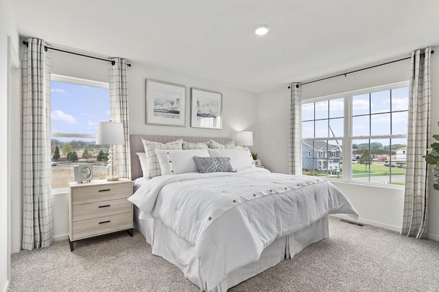 6550 Linden Trl Unit E, Wonder Lake, IL 60097 - bedroom with multiple windows and light carpet