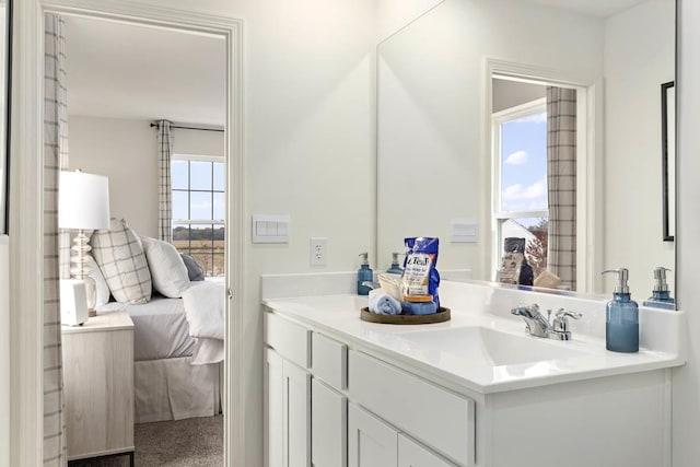 6550 Linden Trl Unit E, Wonder Lake, IL 60097 - ensuite bathroom featuring double vanity and healthy amount of natural light