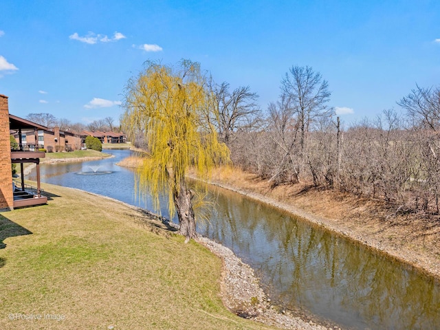1039 Deerfield Pl Unit 1039, Highland Park, IL 60035 - water view