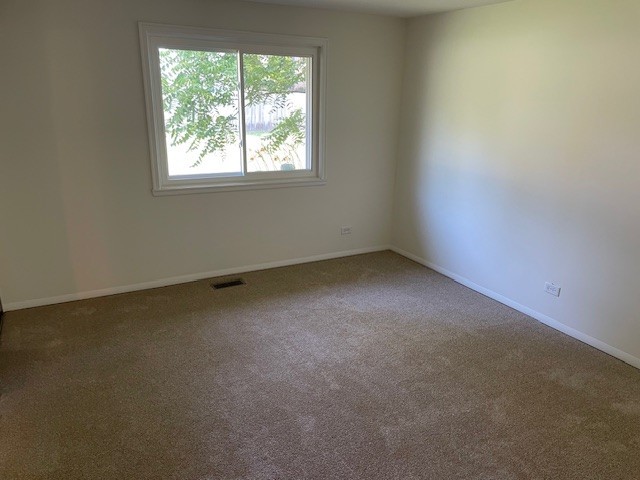 1040 Quanset Ct Unit 1804, Schaumburg, IL 60194 - carpeted spare room with baseboards