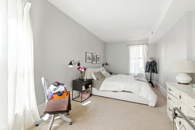 2216 N Cleveland Ave, Chicago, IL 60614 - photo 35