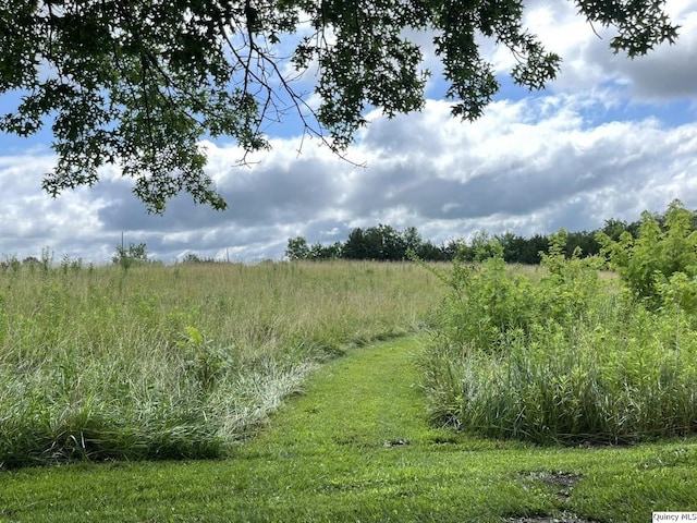 1550 N 2753rd Ln, Loraine, IL 62349 - view of local wilderness