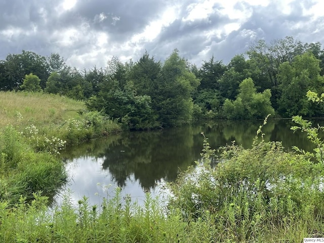 1550 N 2753rd Ln, Loraine, IL 62349 - water view with a forest