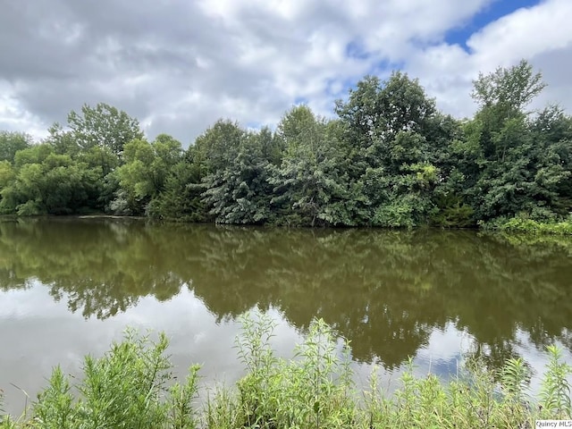 1550 N 2753rd Ln, Loraine, IL 62349 - water view