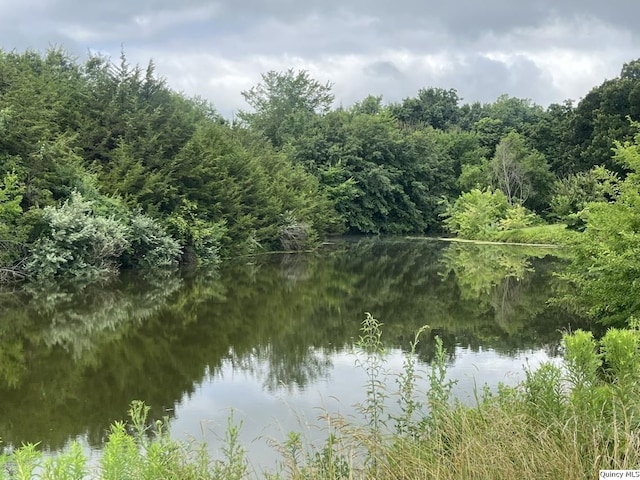 1550 N 2753rd Ln, Loraine, IL 62349 - water view with a heavily wooded area