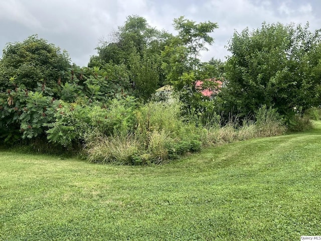 1550 N 2753rd Ln, Loraine, IL 62349 - view of local wilderness