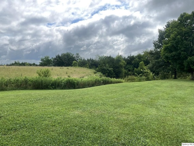1550 N 2753rd Ln, Loraine, IL 62349 - view of green lawn