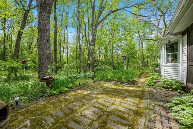 6N400 Old Homestead Rd, Saint Charles, IL 60175 - photo 30