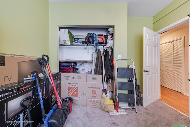 1423 E 68th St Unit 2, Chicago, IL 60637 - view of storage