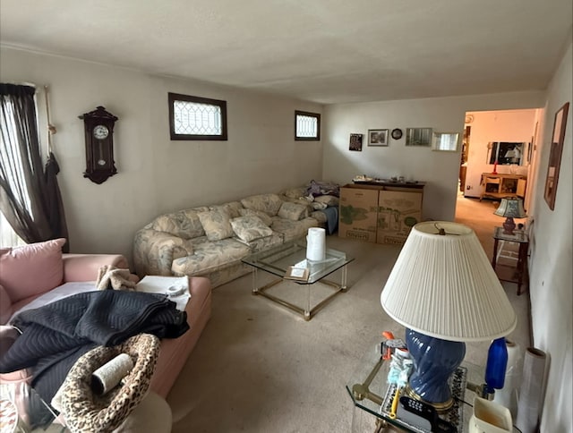 1733 Pine Rd, Homewood, IL 60430 - photo 4